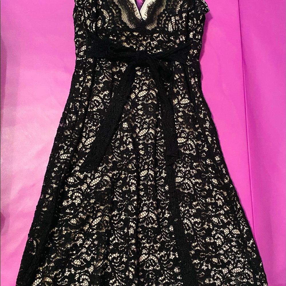 Stunning Black Lace Dress | White House Black Market - Picture 10 of 14